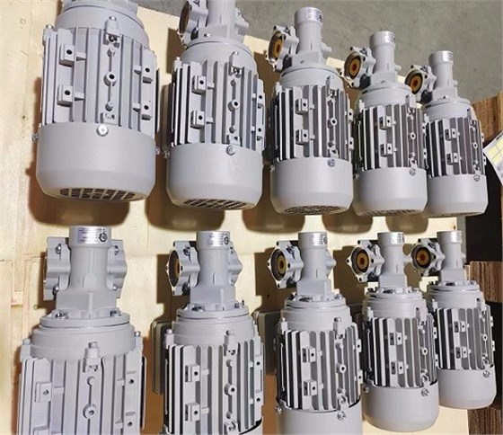 艾思捷為德資企業(yè)定制的紡織專(zhuān)用蝸輪蝸桿減速機(jī) (2).jpg